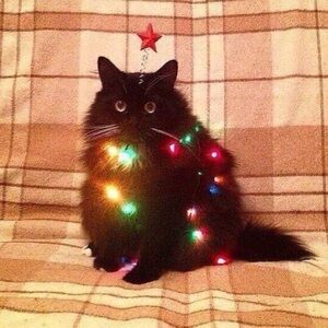 Meet your Posher, Madyson